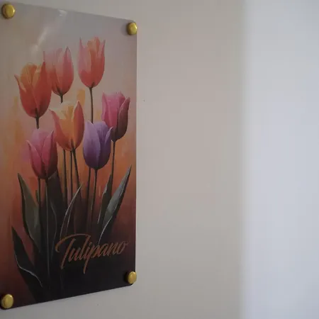 Nonna Palmina בית הארחה *